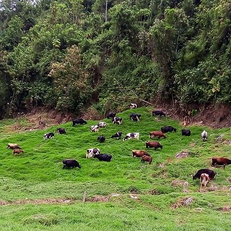 Villa La Lucia à Manizales Extérieur photo