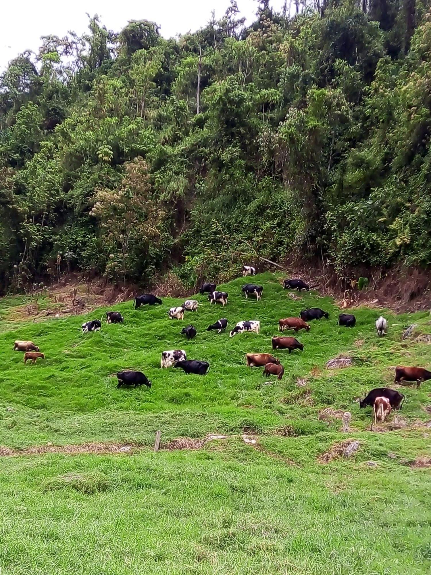 Villa La Lucia à Manizales Extérieur photo